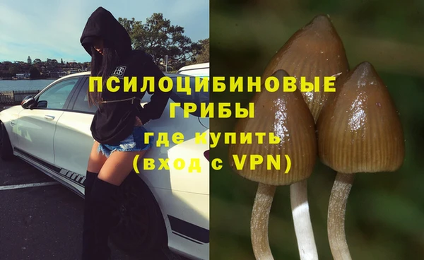 ешки Абинск